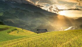 Iconic Cat Cat rice terraces for a vibrant Cat Cat Tours banner with Legend Travel Group.